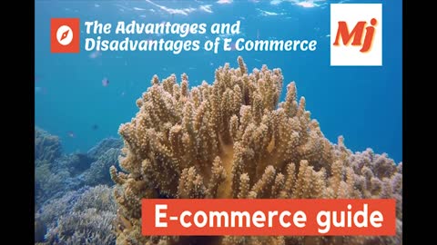 e-commerce: definition, all types, advantages & disadvantages