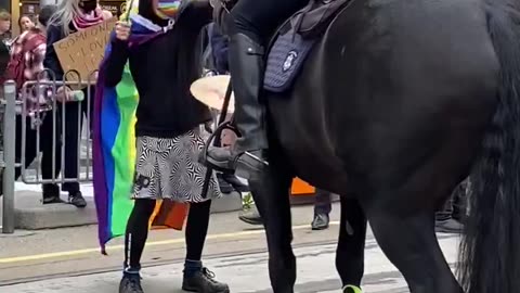 Nut job wearing LGBTQ flag tries to scare horse