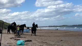 Iconic Black Stallions Saunter Along Beach for Bank Advertisement