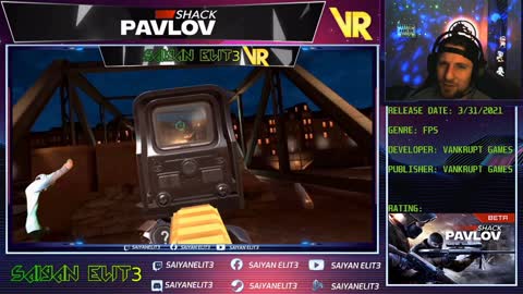 VR Review - Pavlov Shack