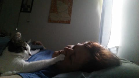 Hungry cat impatiently wakes up owner