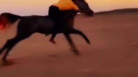 Horse Raning