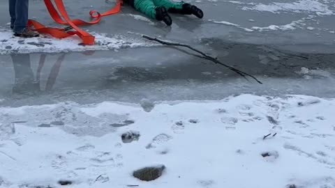 Neighbours Rescue Frozen Deer From Ice