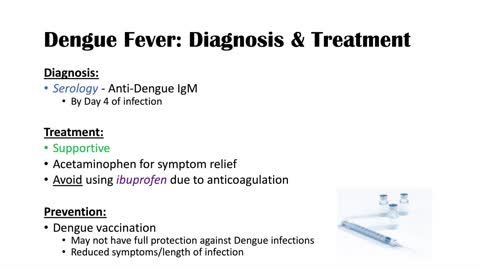 Dengue Fever | Pathophysiology