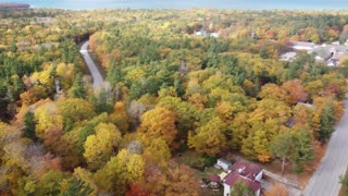 Fall Colors, a Birds Eye View