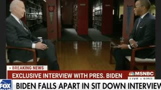 President Joe Biden reboots during MSNBC interview - has a complete breakdown