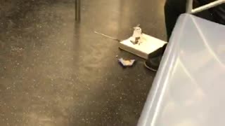 Woman eats chocolate from book on subway floor