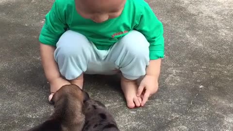 The boy playing with the puppy is very enthusiastic, it looks so cute