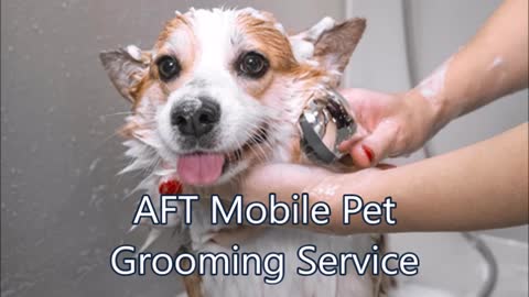 AFT Mobile Pet Grooming Service - (213) 468-6285