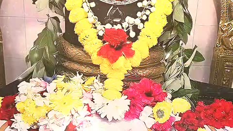 Om Namasivaya 🔱📿🕉️
