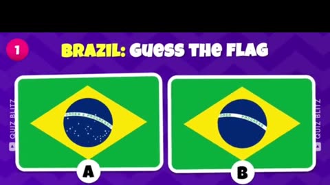 Guess the flags