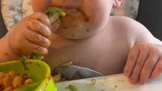 Avocado Makes a Messy Meal