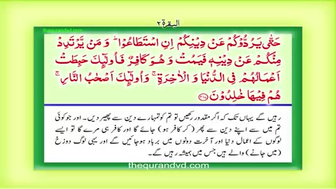 quran|complete translate in urdu&hindi