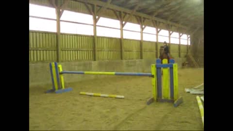 Equestrian Horse Refuses To Jump Bars, Throws Teen Over Them Instead