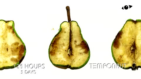 Pear 4K Timelapse