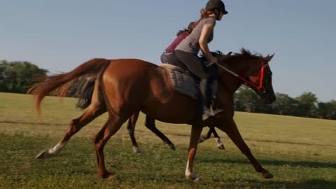 training of two horse riders, preparing for racing