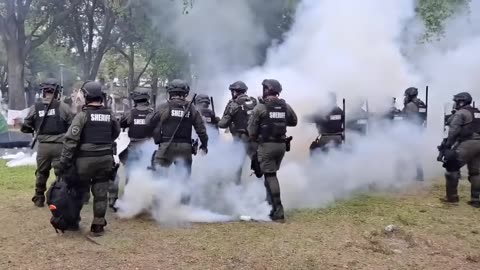 Police use tear gas on pro-Palestinian USF Tampa protesters