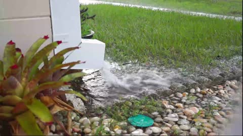 Rainstorm Downspout