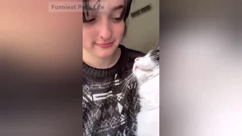 Kiss Your Pet On The Head And See Their Reaction Watch Till The End 😂