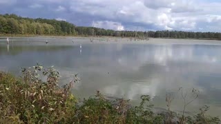 Waterfowl Birds N. Ridgeville OH, Lorain County Metropark #2/6