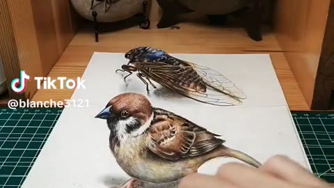 Beautiful Drawing of sparrow
