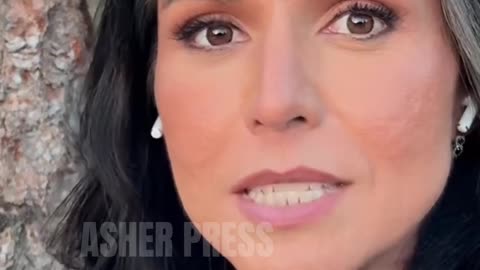 Tulsi Gabbard - "President Joe Biden is Insane"