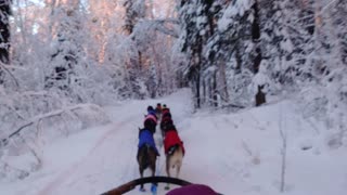 Wild Alaska - Dog Sledding at -40