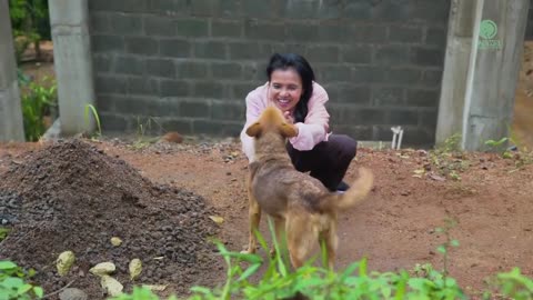 Dog Recognize People Who Rescued Her For The Last 3 Years - ElephantNews