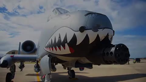 A-10 Thunderbolt II assault plane from Fighter Squadron.mp4