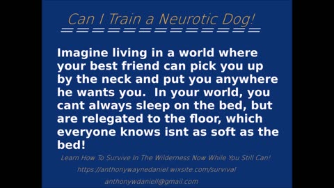 Can I Train a Neurotic Dog!