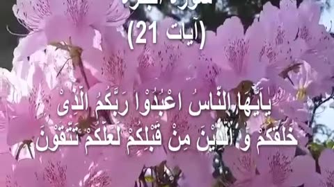 Surah Al-baqarah verse 21