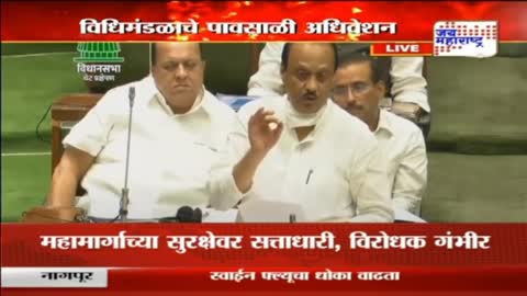 Legislative Assembly - विधिमंडळातून अजित पवार - Marathi News