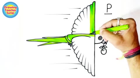 P into Parrot - Flying Parrot Drawing With Simple Creative Wayp2