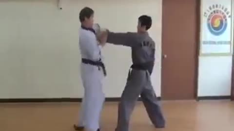 Hapkido