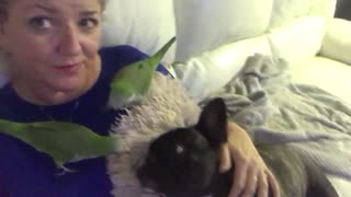 Owner snuggles up with her dogs and parrots