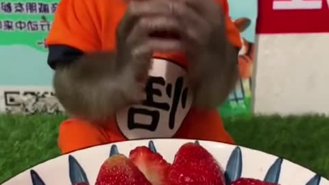 eating strawberry🍓🍓🍓🍓 you must watch this video