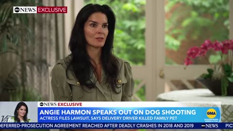Angie Harmon is Suing Instacart and Deliveryman Who Shot and Killed Her Dog, Oliver