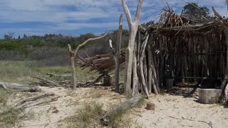 Best ever Driftwood Shelter found on secluded beach