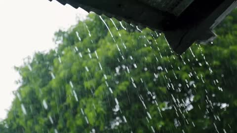 Rain sound for persons suffering from insomnia perfect remedy to fall asleep