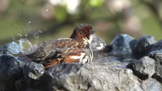 Bath Time!