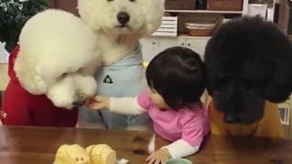 Generous Toddler Shares Meal With Her Three Hungry Pooches