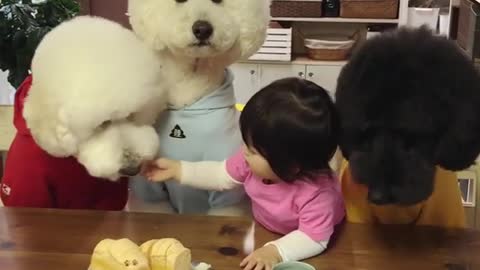 Generous Toddler Shares Meal With Her Three Hungry Pooches
