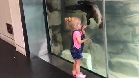 Toddler meets Otter