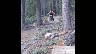 Collab copyright protection - mountain bike rock crash fall