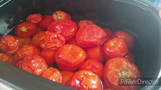 Thawing Frozen Tomatoes for Water Bath Canning