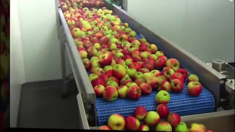 Apple Juice produce