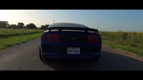 2013 Mustang Coyote Gt 5.0