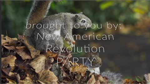 New American Revolution PARTY presents: The Evolution of Roger Waters