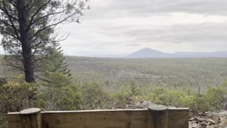 Expansive Bench Views of Deschutes National Forest on Whychus Creek Overlook Loop – 4K