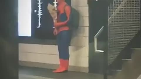Spiderman backpack guy waiting subway station flowers bay ridge